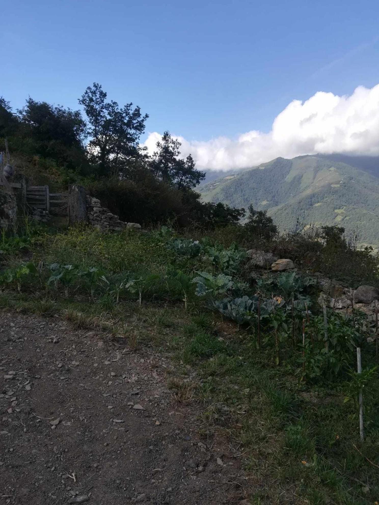 Asturias Boho Chic Διαμέρισμα Aller Εξωτερικό φωτογραφία
