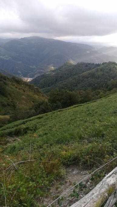 Asturias Boho Chic Διαμέρισμα Aller Εξωτερικό φωτογραφία