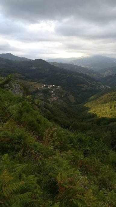 Asturias Boho Chic Διαμέρισμα Aller Εξωτερικό φωτογραφία